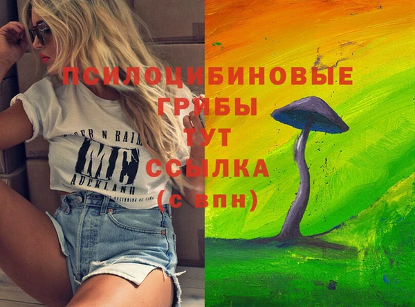 MESCALINE Коряжма