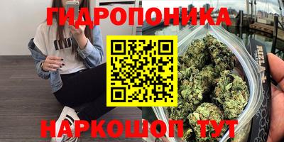 круглые Лесосибирск