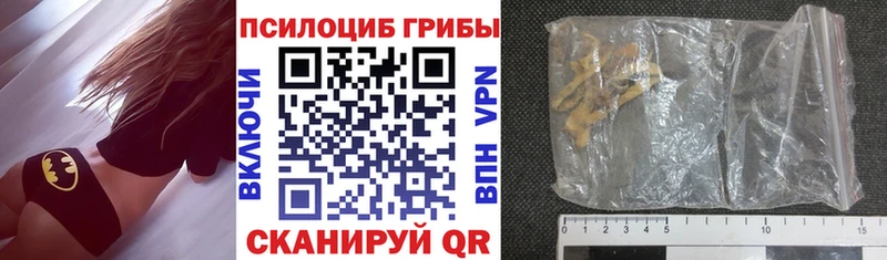 Галлюциногенные грибы Psilocybe купить наркотик Салават