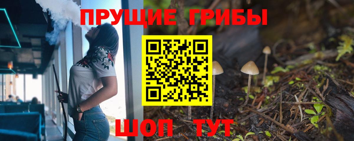Псилоцибиновые грибы мицелий Салават