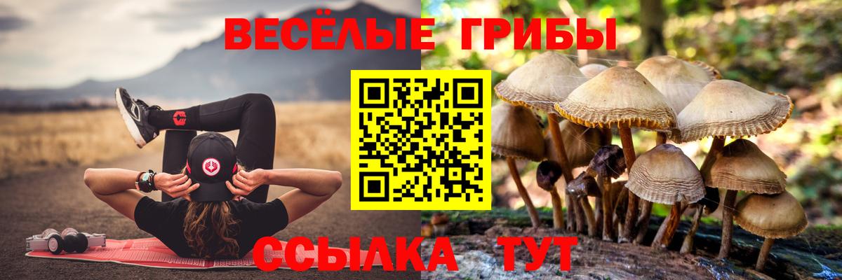 Салават  Псилоцибиновые грибы Psilocybine cubensis  Псилоцибиновые грибы Magic Shrooms  Вход с VPN 